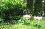 Escape Guesthouse garden coy pond relaxation zone private event space 